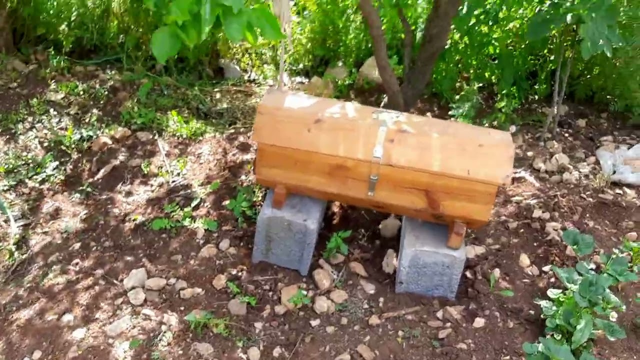 Karakovana oğul aktarma. oğul alma. Karakovan balı. Karakovan bölme yapma #bee #arıcılık #beekeeping