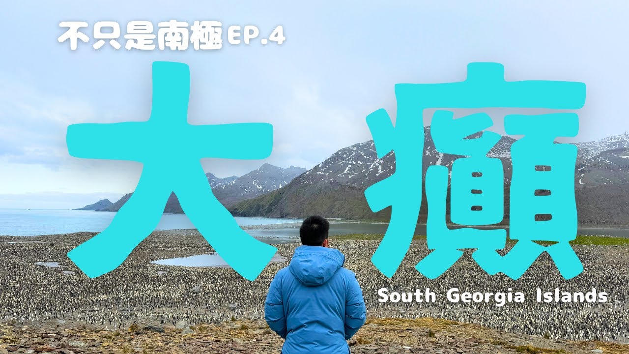 南極旅行🇦🇶｜直擊南喬治亞群島街頭大混戰！｜可憐企鵝寡不敵眾😭【不只是南極】EP.4