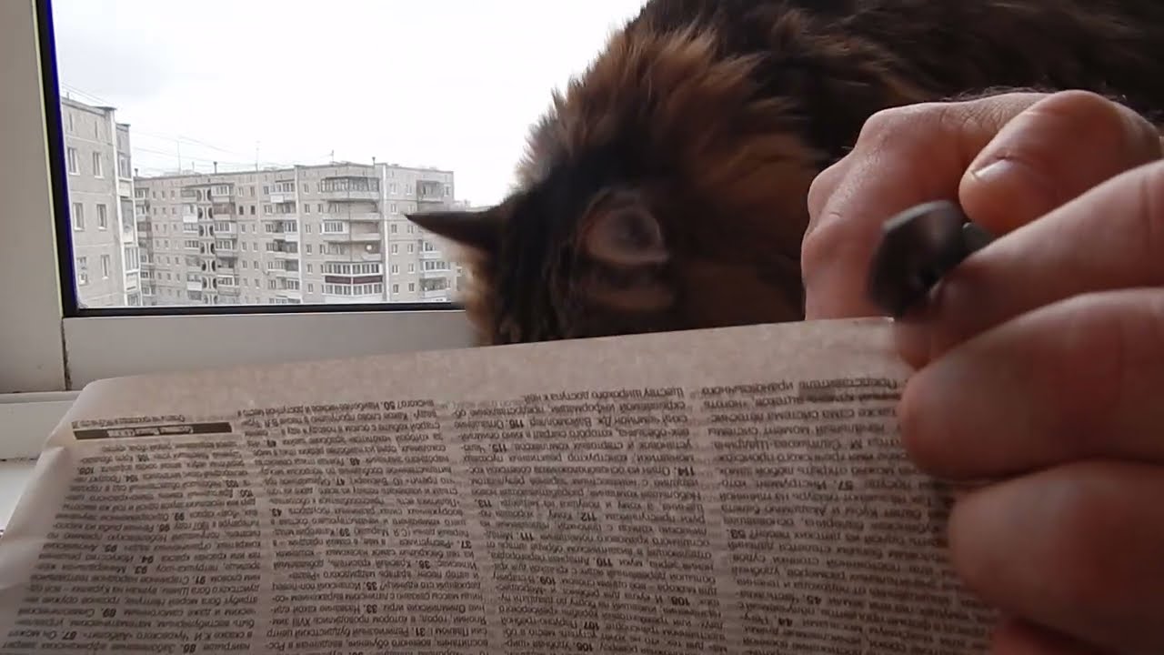 Нож Фронталка с Wildberries