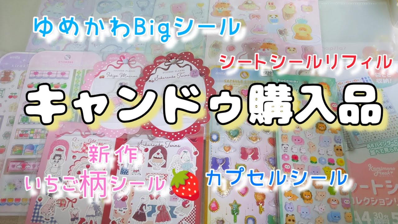 キャンドゥシール購入品😊