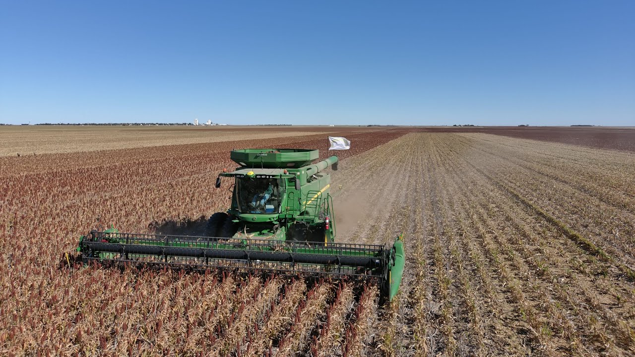 Milo Harvest 2021 Drone footage - AgVentures