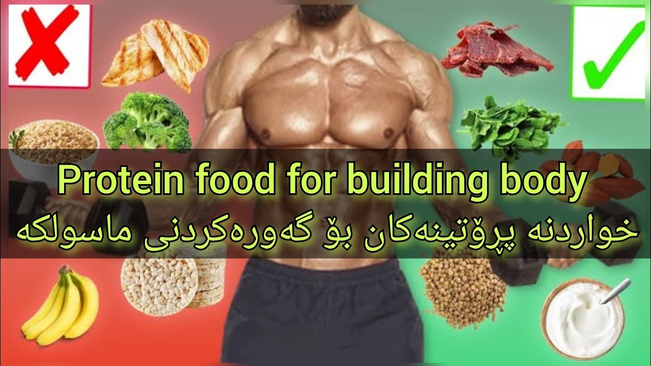 protein food for building muscles خواردنە پڕۆتینەکان بۆ گەورەکردنی ماسولکە