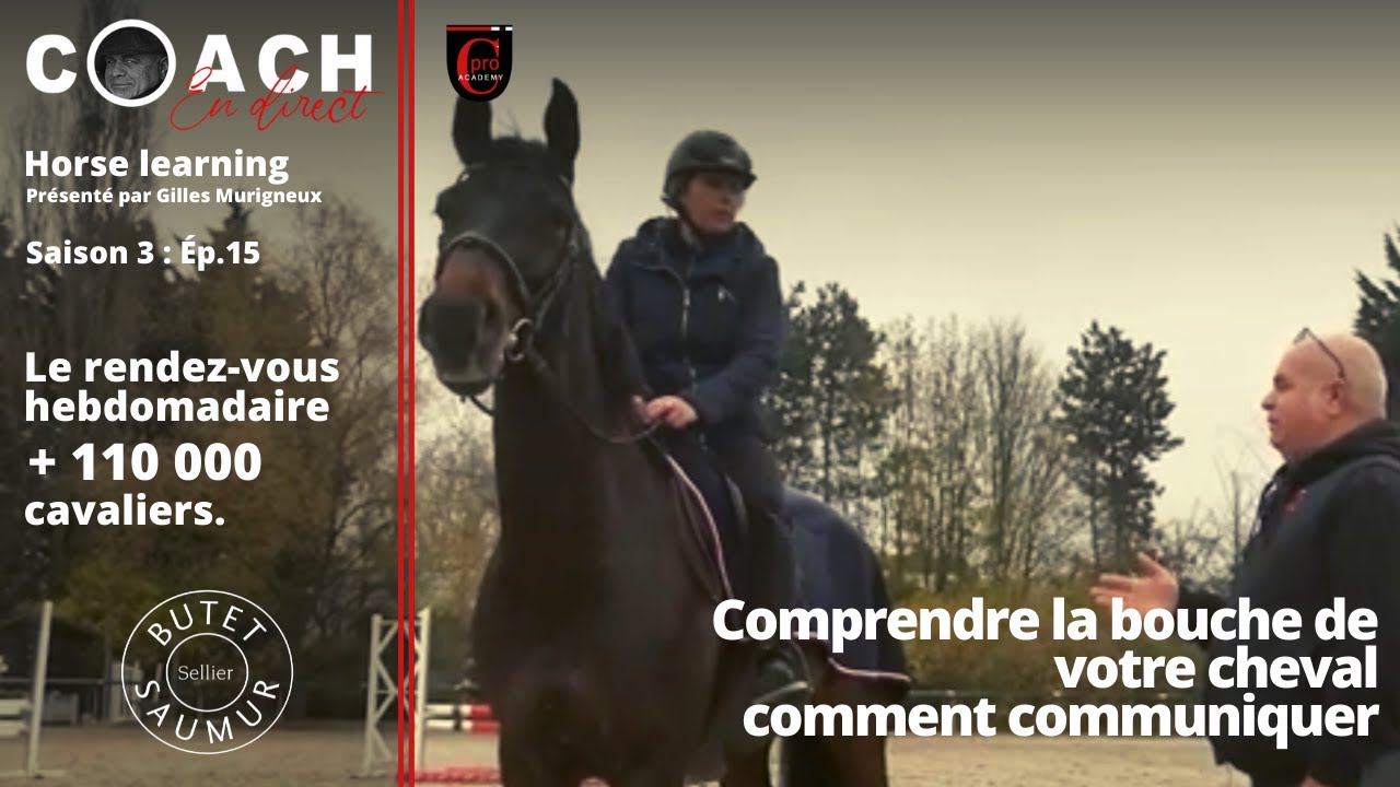 COACH EN DIRECT  Comprendre la bouche de votre cheval et comment communiquer.
