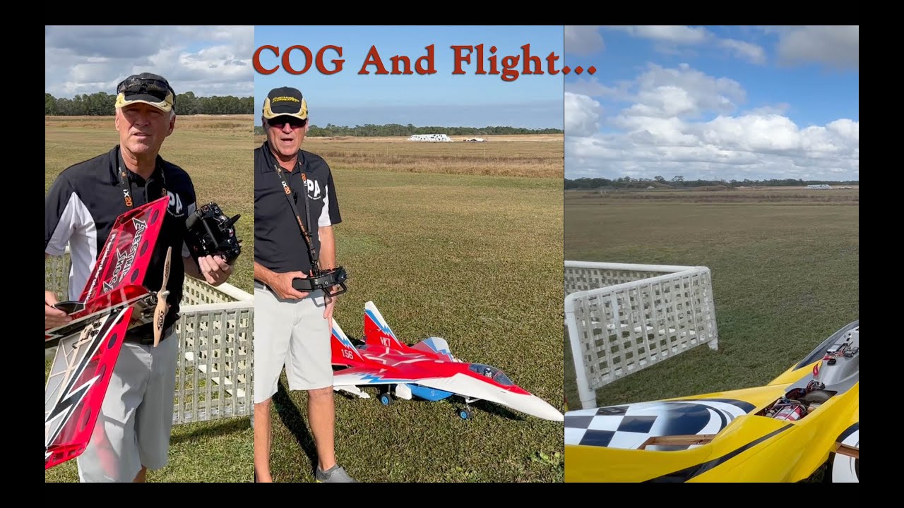 Michael Wargo Instruction:   ESSENTIAL COG Balance and Flight Performance (MUST WATCH)