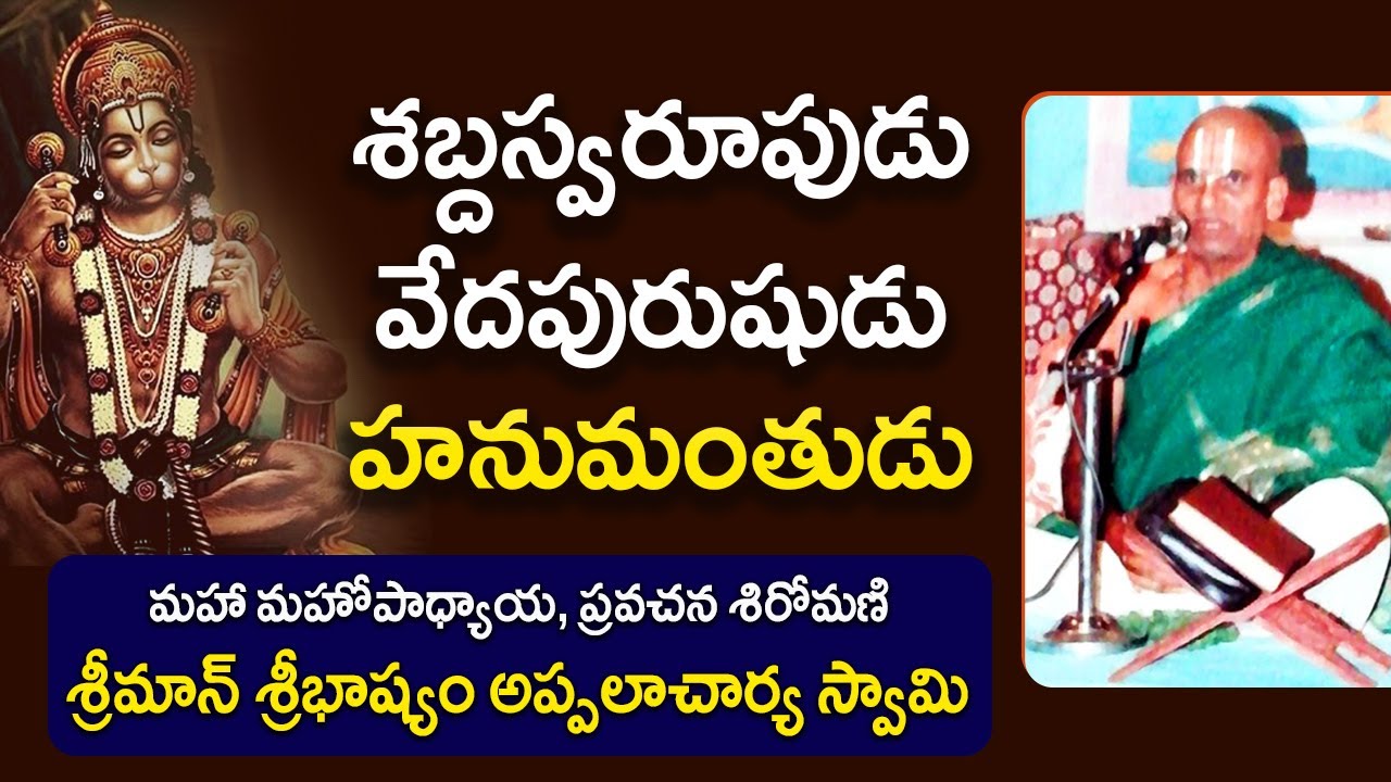 శబ్దస్వరూపుడు, వేదపురుషుడు హనుమంతుడు | Sribhashyam Appalacharyulu | Ramayanam | Kopparapu Kavulu