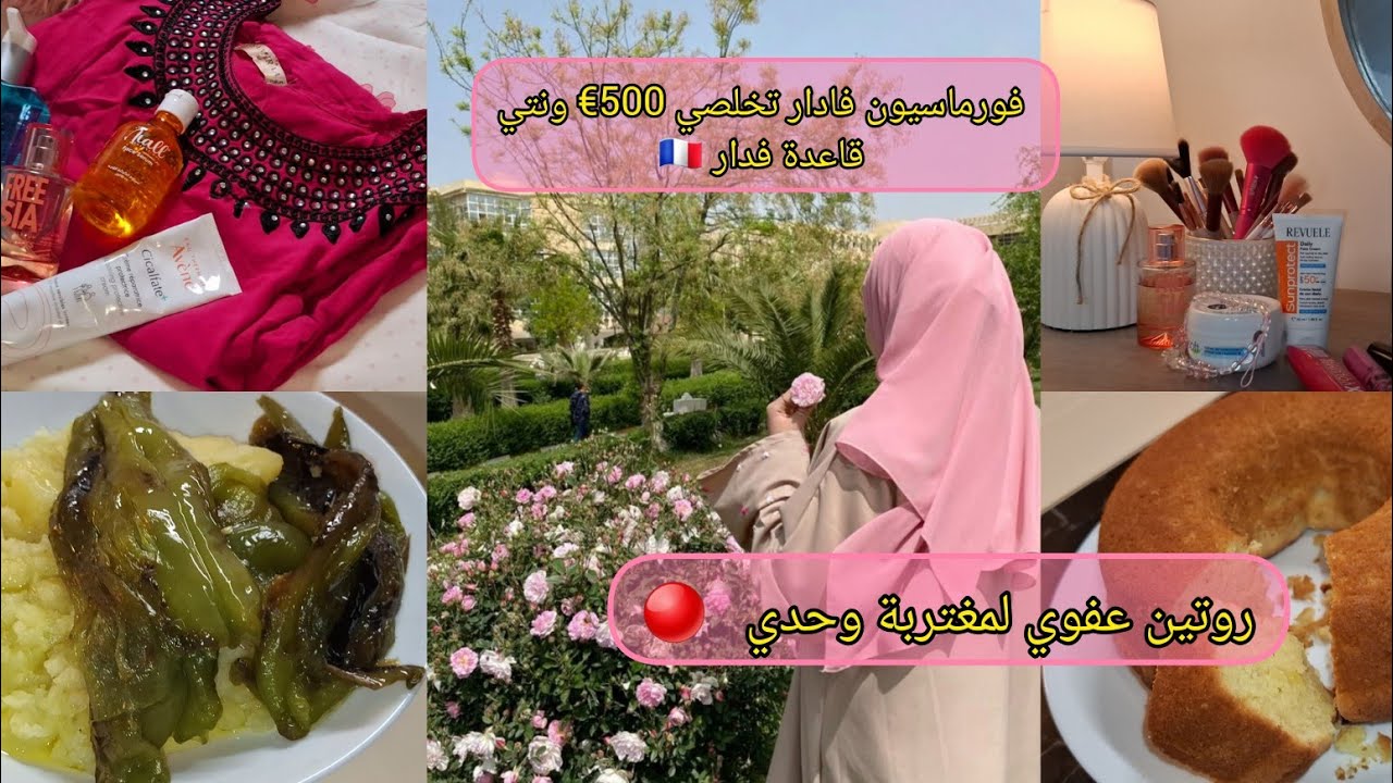 متخدميش في فرنسا 🇨🇵 نعطيك الحل ✨ باه تخلصي 500€ كل شهر تعطيهملك الدولة 😱 مسكوتشو زمان بدون حليب 🔴