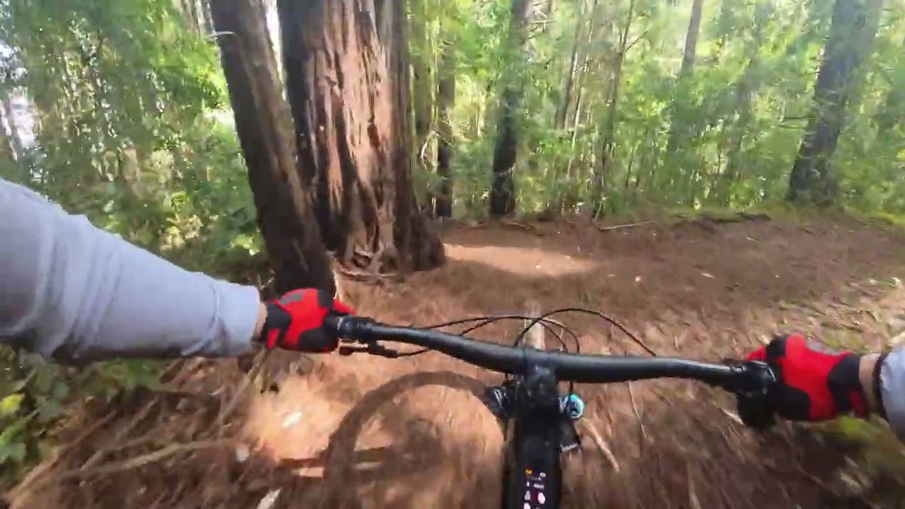 UCSC Trail MTB 02232026