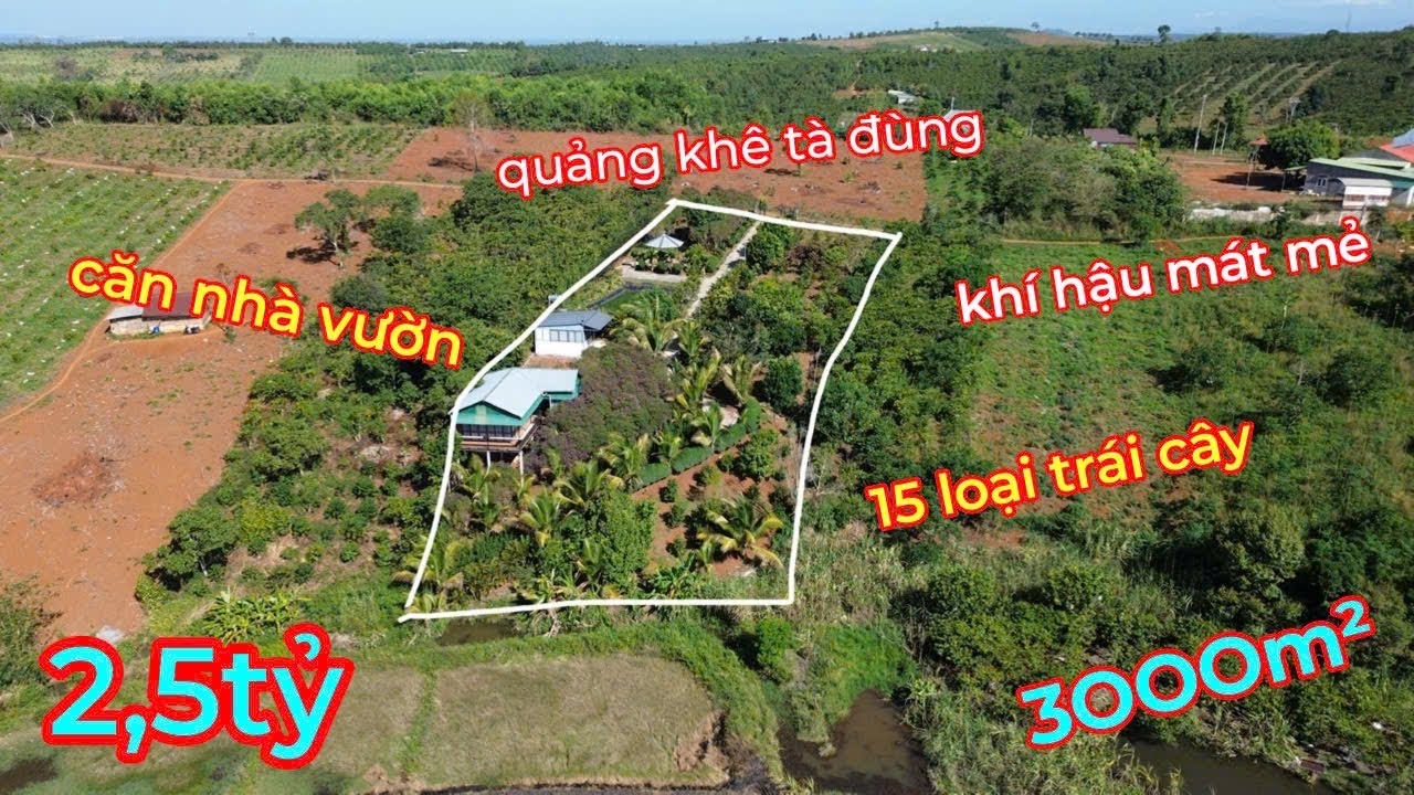 Bán Căn Nhà Vườn Trái Cây Đầy Đủ Tiện Nghi ở Quảng Khê,Tà Đùng,Lâm Đồng,Khí Hậu Mát Mẻ,Giá 2,5 TỶ