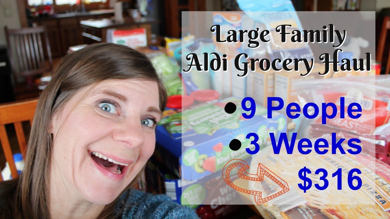 LARGE FAMILY Aldi Grocery Haul🛍 & Meal Plan