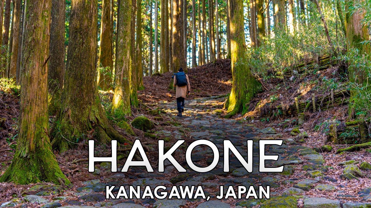 Walking through Ancient Japan: Old Tokaido Road to Motohakone 【4K Relaxing Nature Ambience】