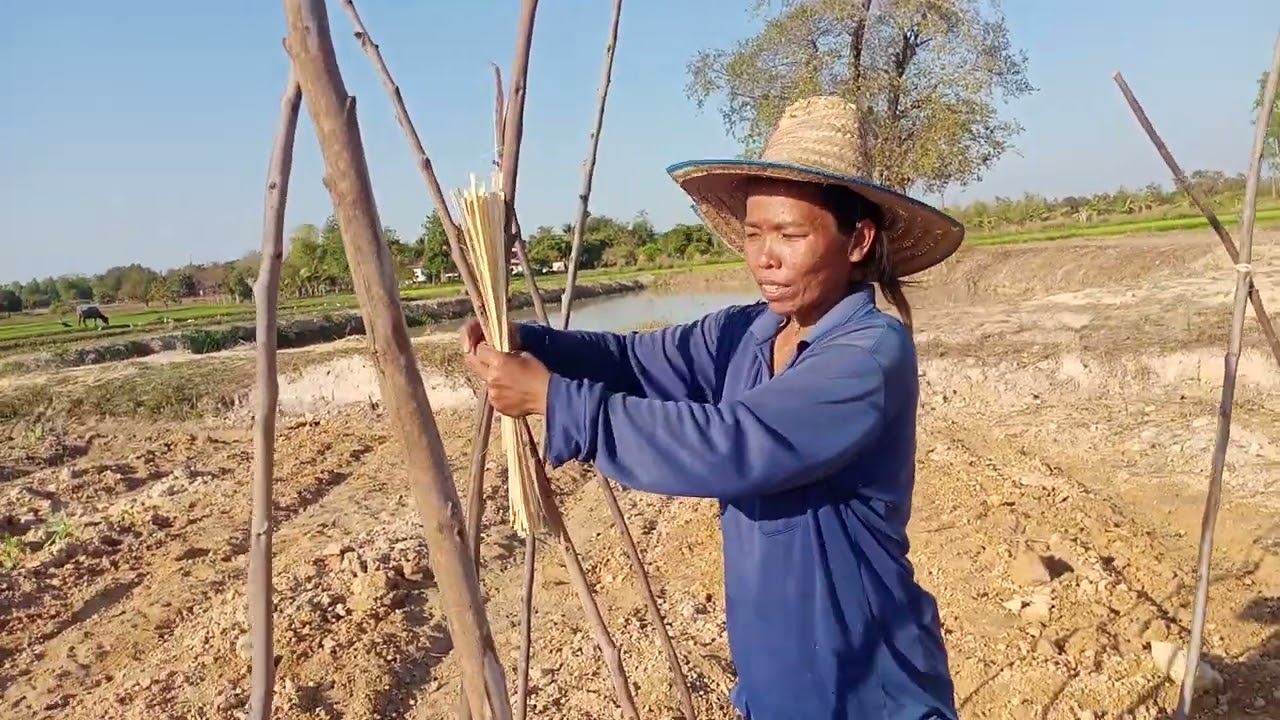 สักค้างถั่วฝักยาวแบบโบราณ