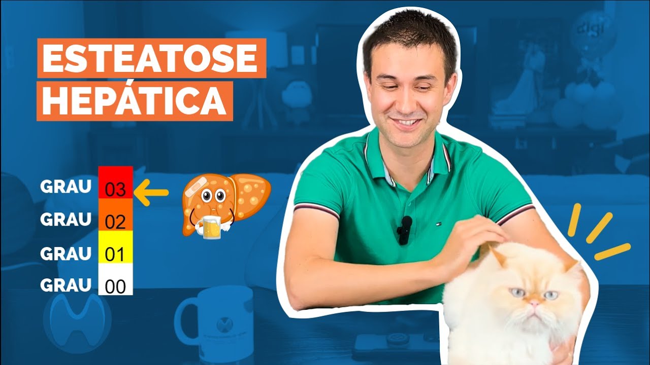Esteatose hep&aacute;tica grau 1, grau 2 e grau 3. O que significa?