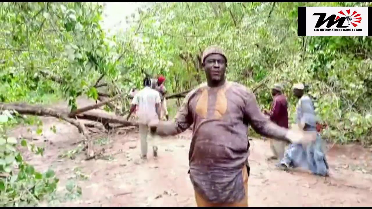 IMPOSSIBLE DE TRAVERSER LA FORET DE BOUTOLATE, LA TORNADE Y A PROVOQUE UN SPECTACLE CHAOTIQUE