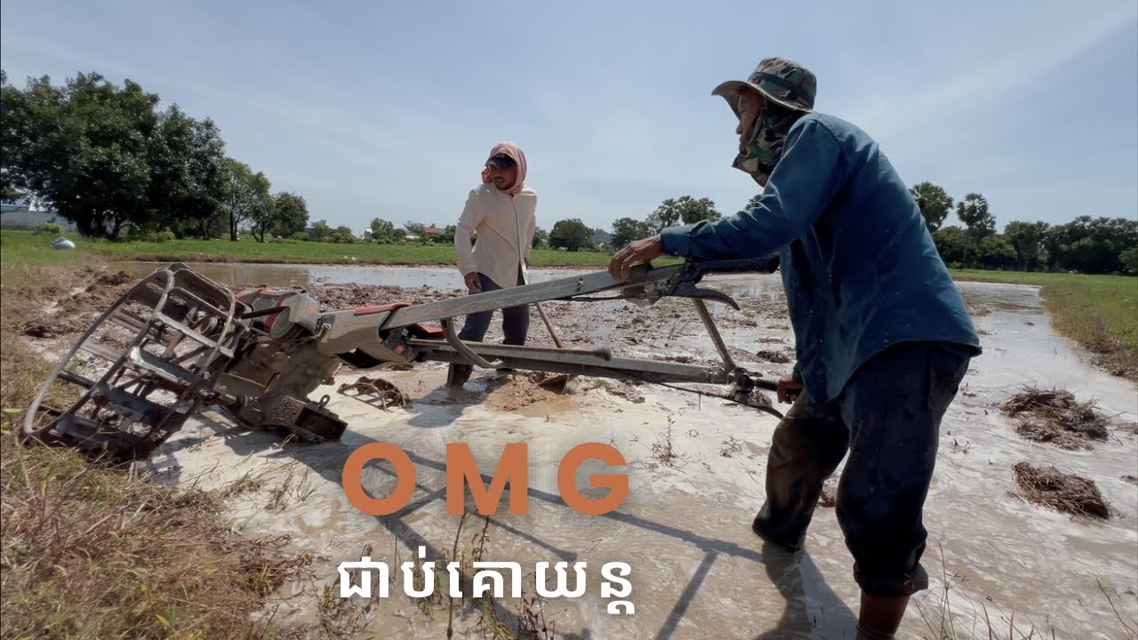 ជាប់គោយន្តពេលកំពុងភ្ជួរ. Stuck in a tractor while plowing.