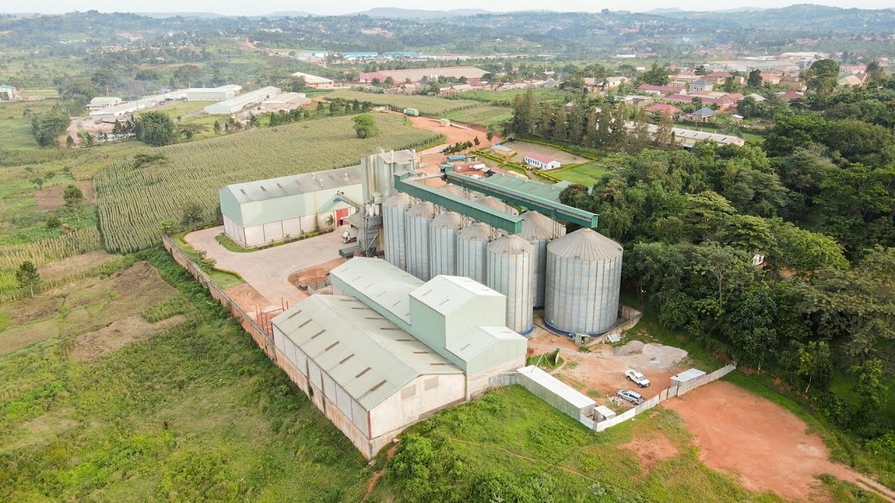 FOOD SECURITY AT GRAIN PULSE
