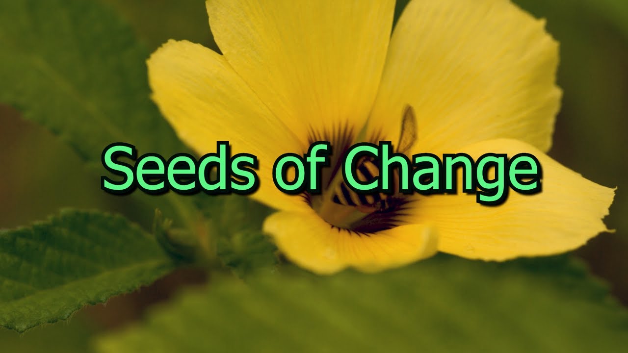 Seeds of Change (2021)