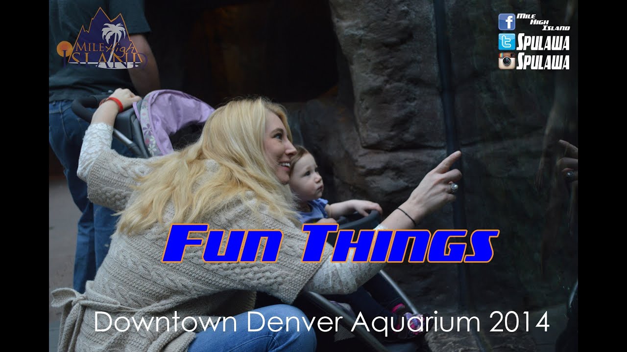 Fun Things: Downtown Aquarium in Denver 2014