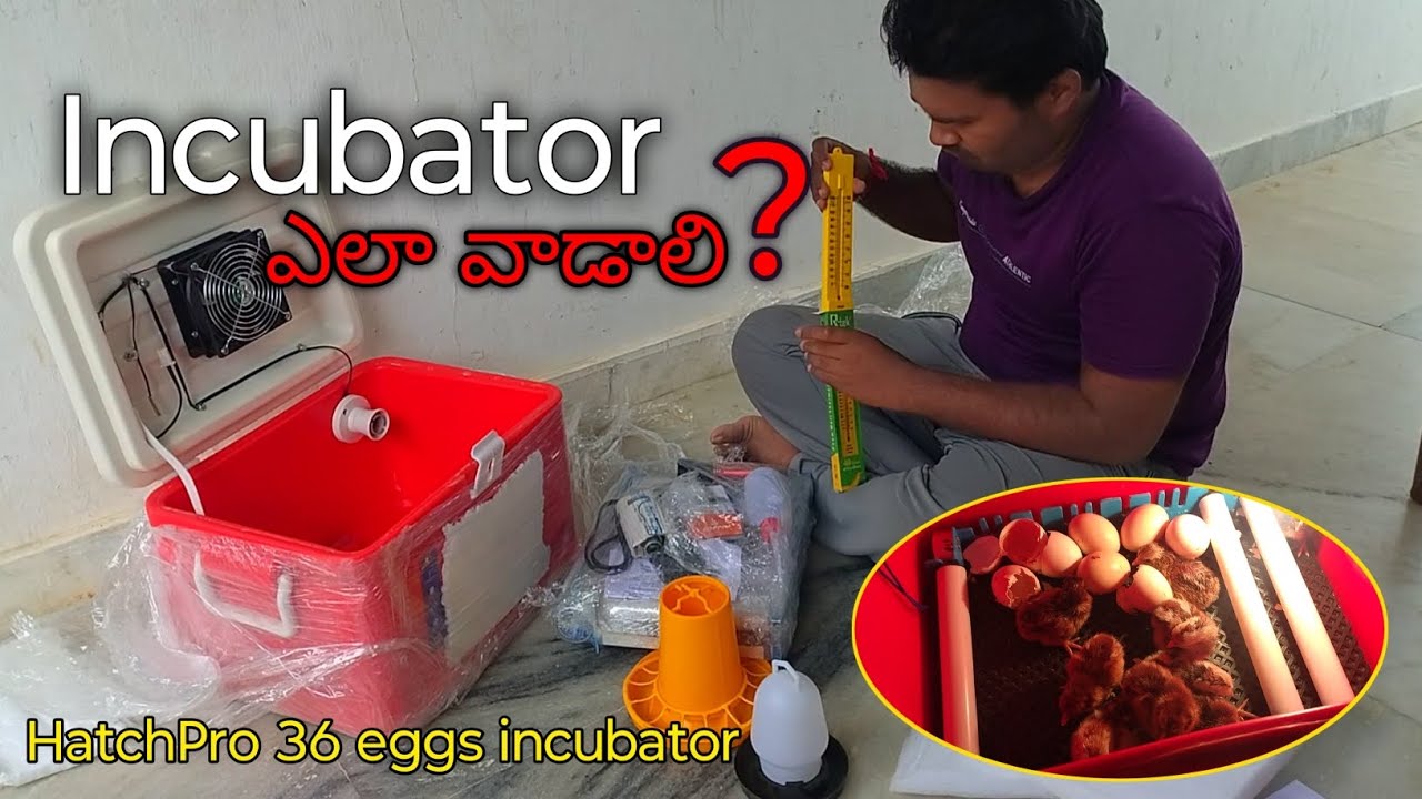 Hatch Pro 36 eggs incubator || ఇంక్యుబేటర్ ఎలా వాడాలి ?