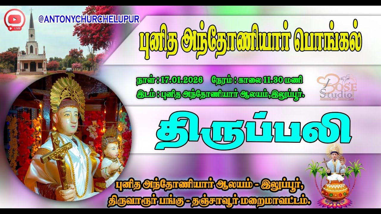🔴LIVE ||புனித அந்தோனியார்  பொங்கல் Mass in Tamizh || 17 JAN 2026 || St. Antony's Church Ellupur