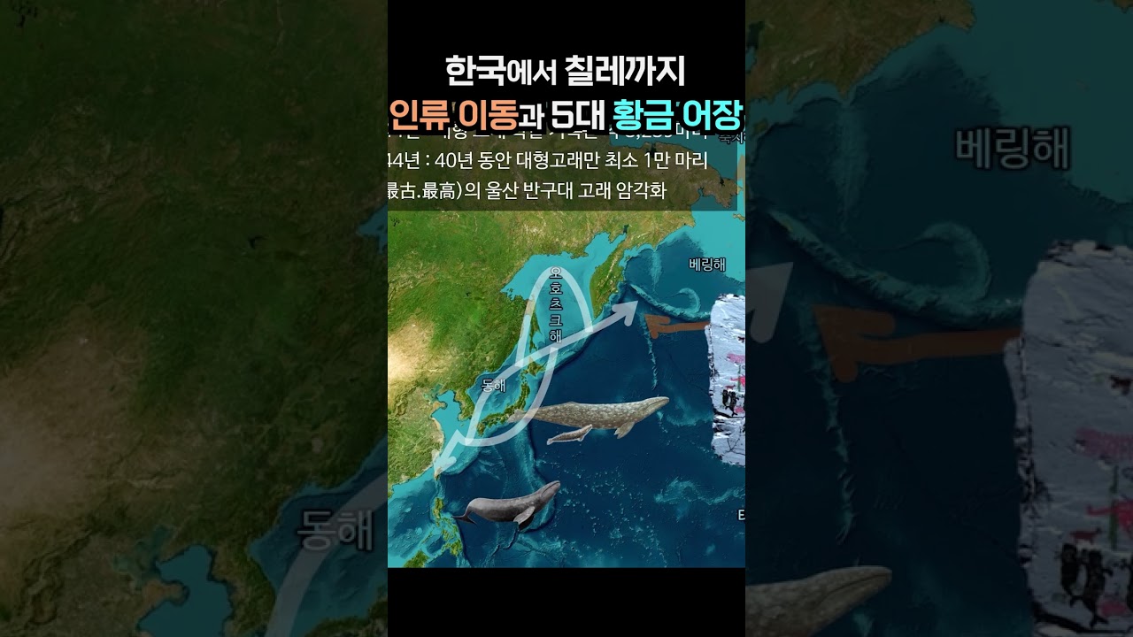 한국에서 칠레까지 인류 이동과 5대 황금어장  #한민족 #history #인류 #칠레 #한국인