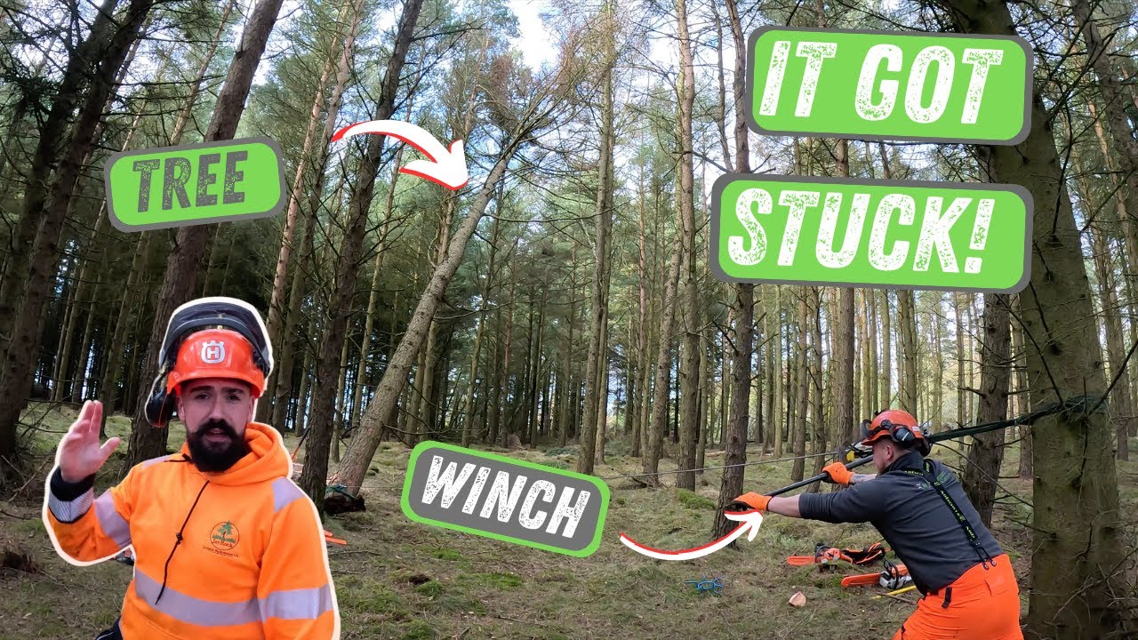 TREE GOT STUCK! | Chainsaw Course | Diary Of A 21 Year Old Landscape Business Owner EP.7 (UK)