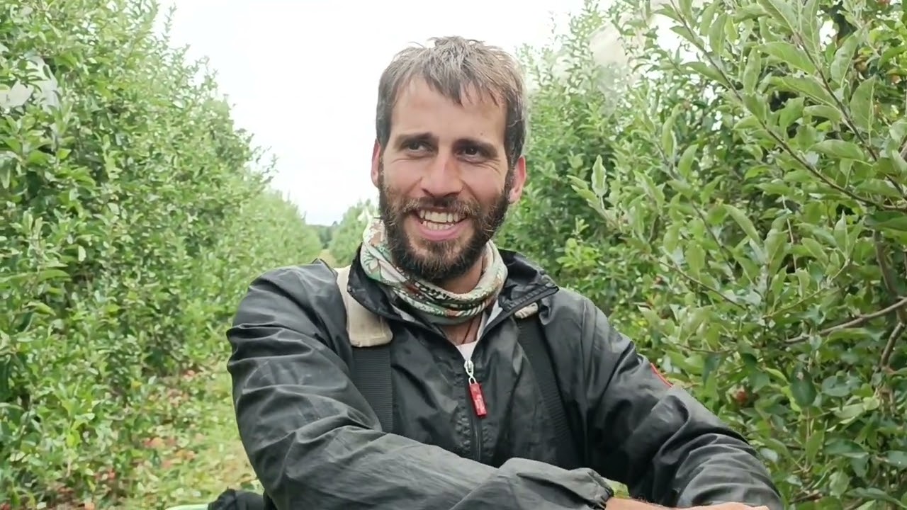 trabajar en la manzana en Francia ¿como es? seasonier season