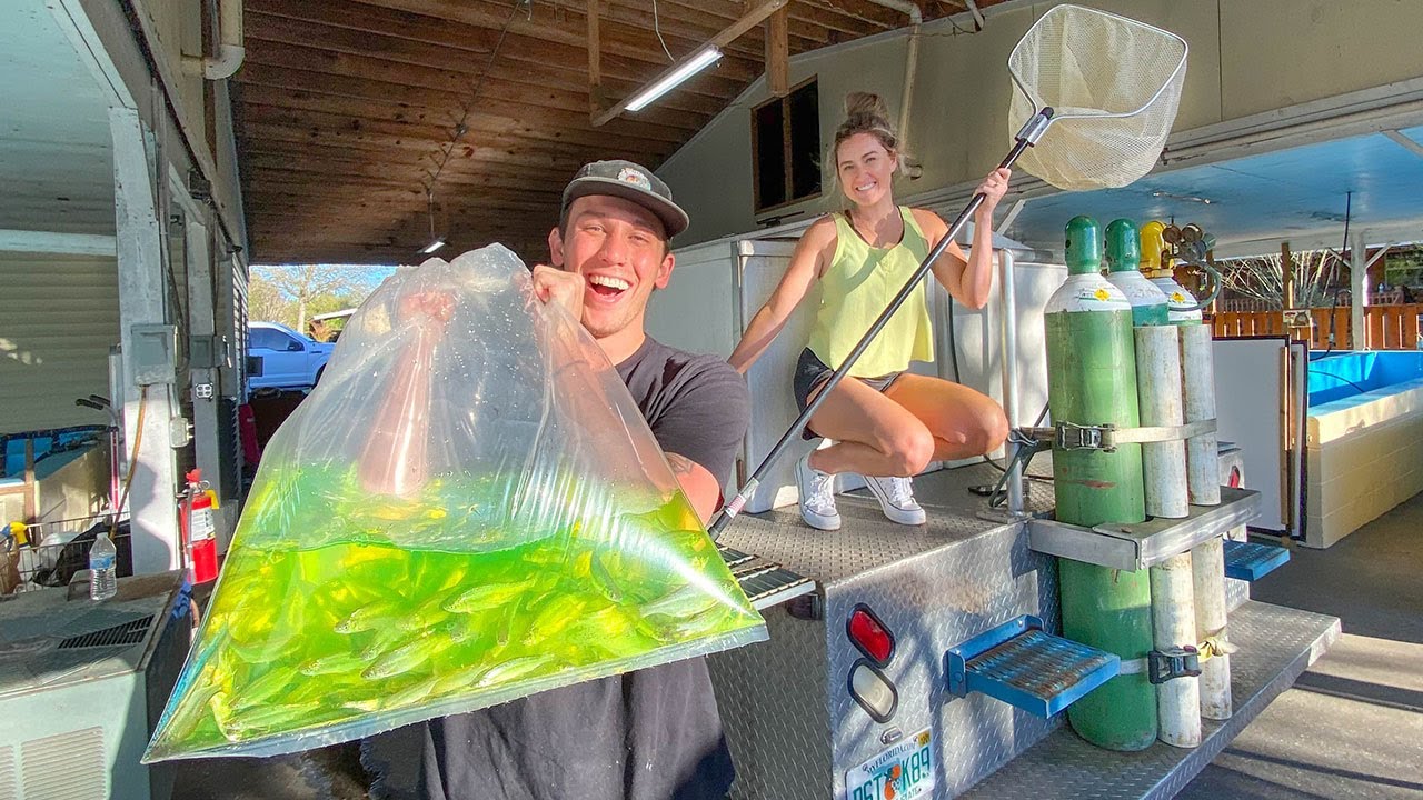 Sneaking Into Jiggin with Jordan's Backyard Pond! (Feeding Giant Pet Bass)