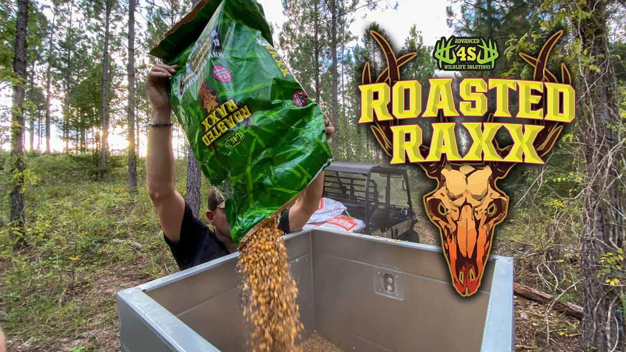 Roasted Raxx: Roasted Soybean & Corn Mix for Deer