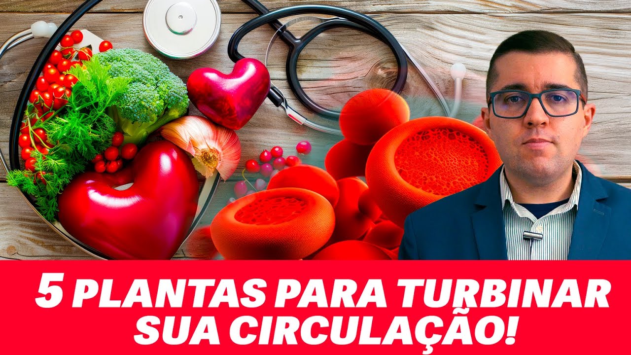 5 plantas para proteger as artérias e melhorar a circulação
