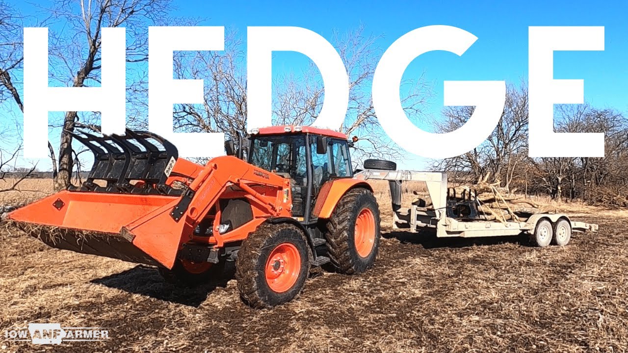 CUTTING HEDGE! - Off Season Work - Vlog 4