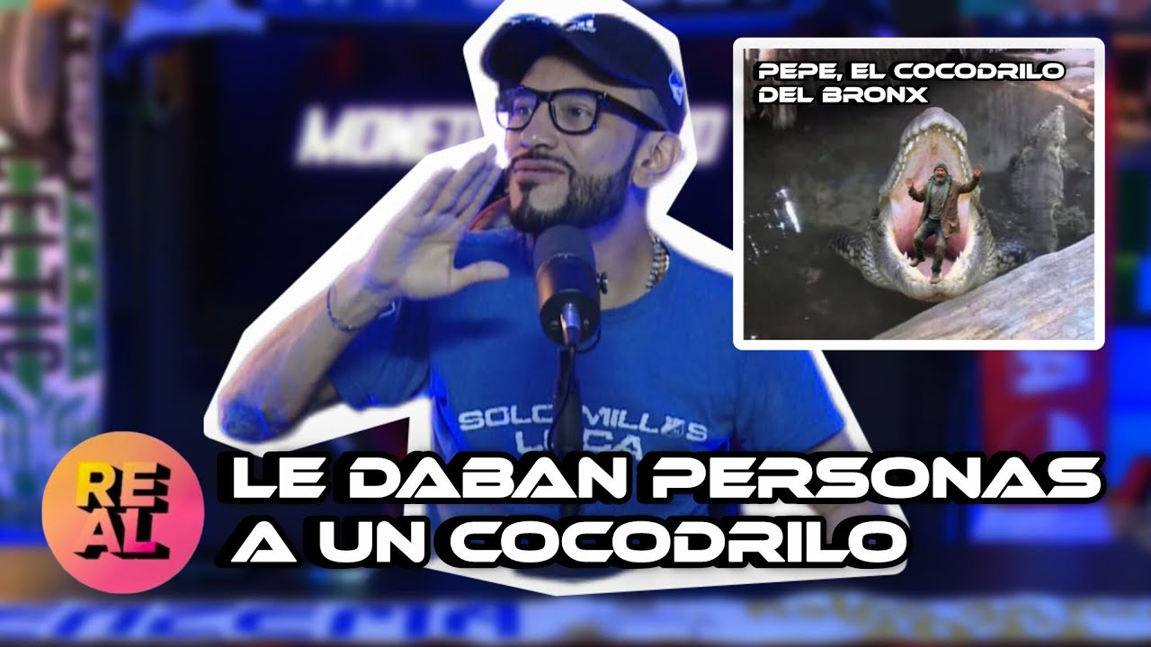 &iexcl;EL COCODRILO DEL BRONX ERA REAL! 🐊 Habla un ex-Sayay&iacute;n de Bogot&aacute; Colombia | MONEDA EN VIVO | REAL