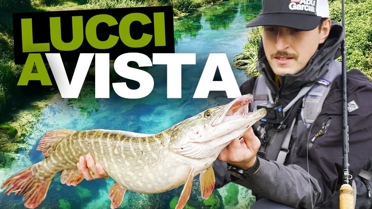 PESCA al LUCCIO in TORRENTE; ATTACCHI a VISTA in RISORGIVA