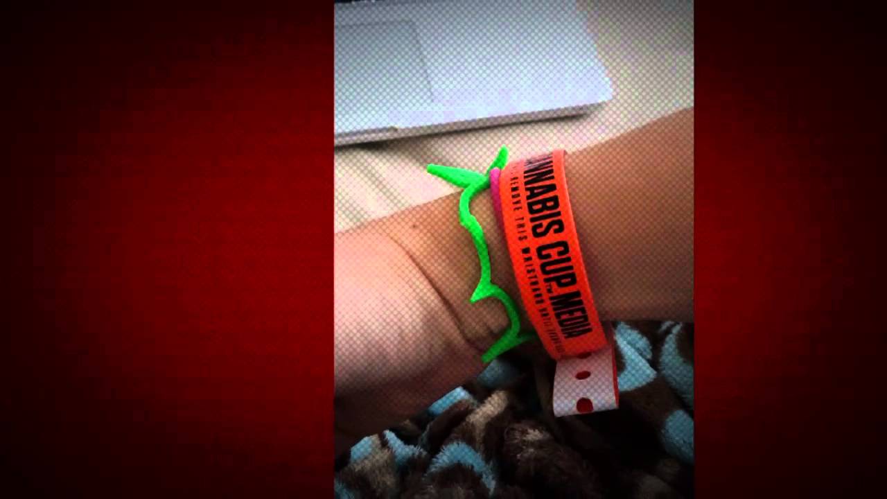 High Times 2014 Michigan Cannabis Cup