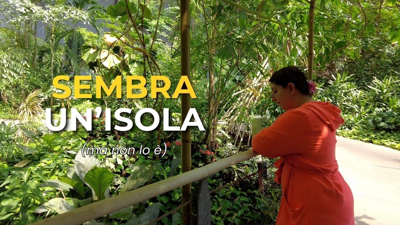 Questo NON è un’isola 🌴 (è un ex hangar per dirigibili!)
