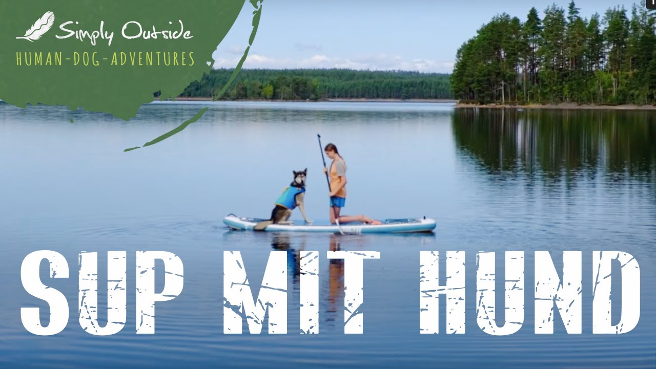 Auf dem Sup Board mit Husky in Schweden