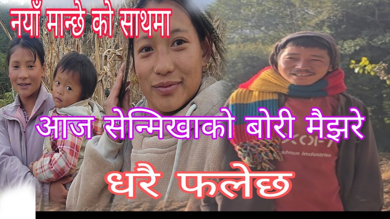 आज सेन्मिखा को बोडी टिपेर सकियो होई साथीहरु धेरै फलेछ बोडी 