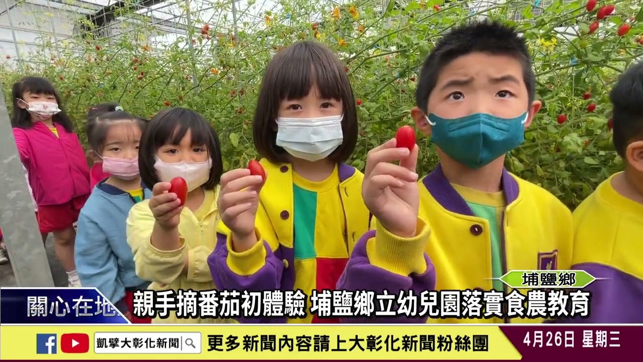 1120426 親手摘番茄初體驗 埔鹽鄉立幼兒園落實食農教育