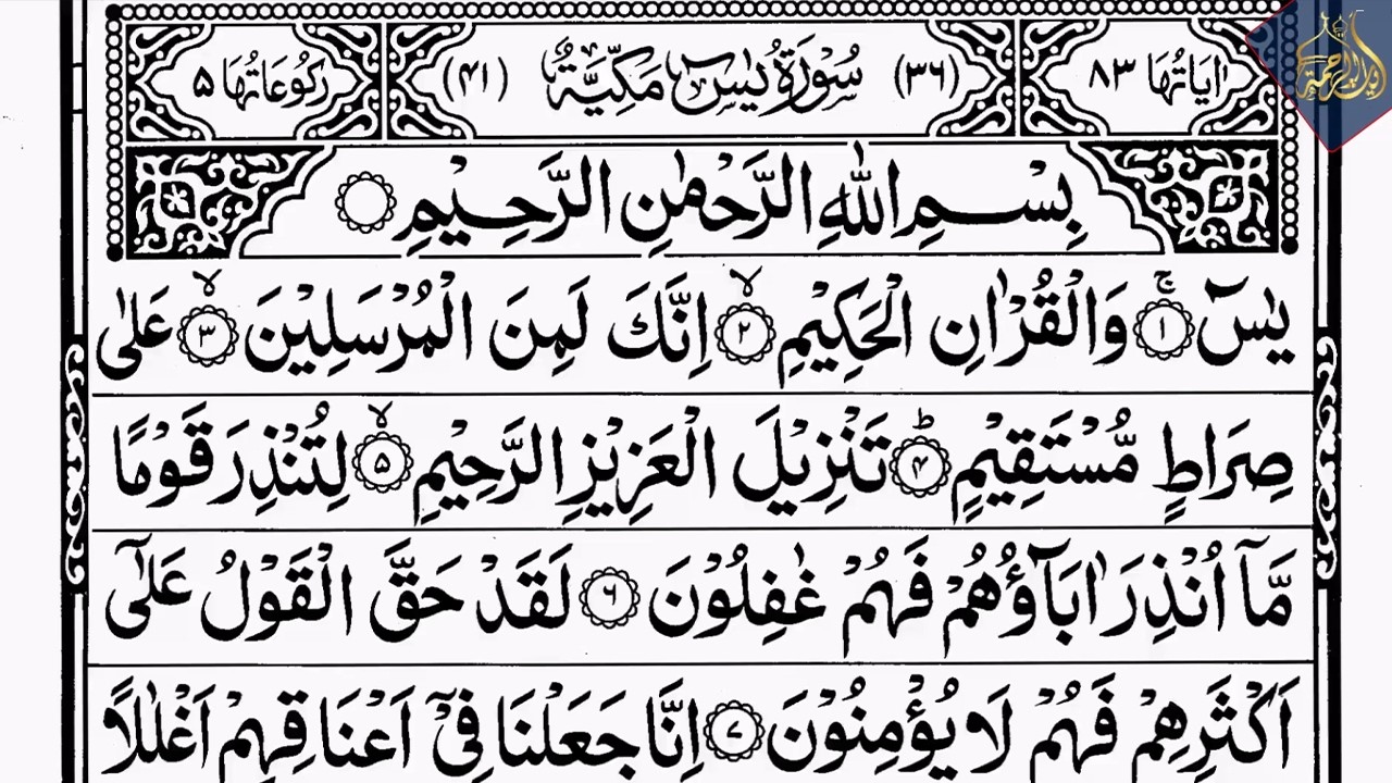 Surah Yaseen Surah Ar Rahman | Best Quran Recitation | Surah Yasin Tilawat | Episode_002