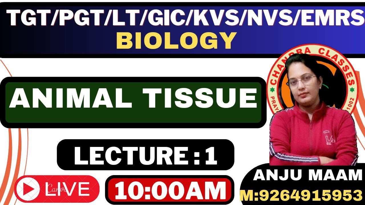 LECTURE 1 || ANIMAL TISSUE || TGT,PGT,LT,GIC BIOLOGY || BY ANJU MAURYA