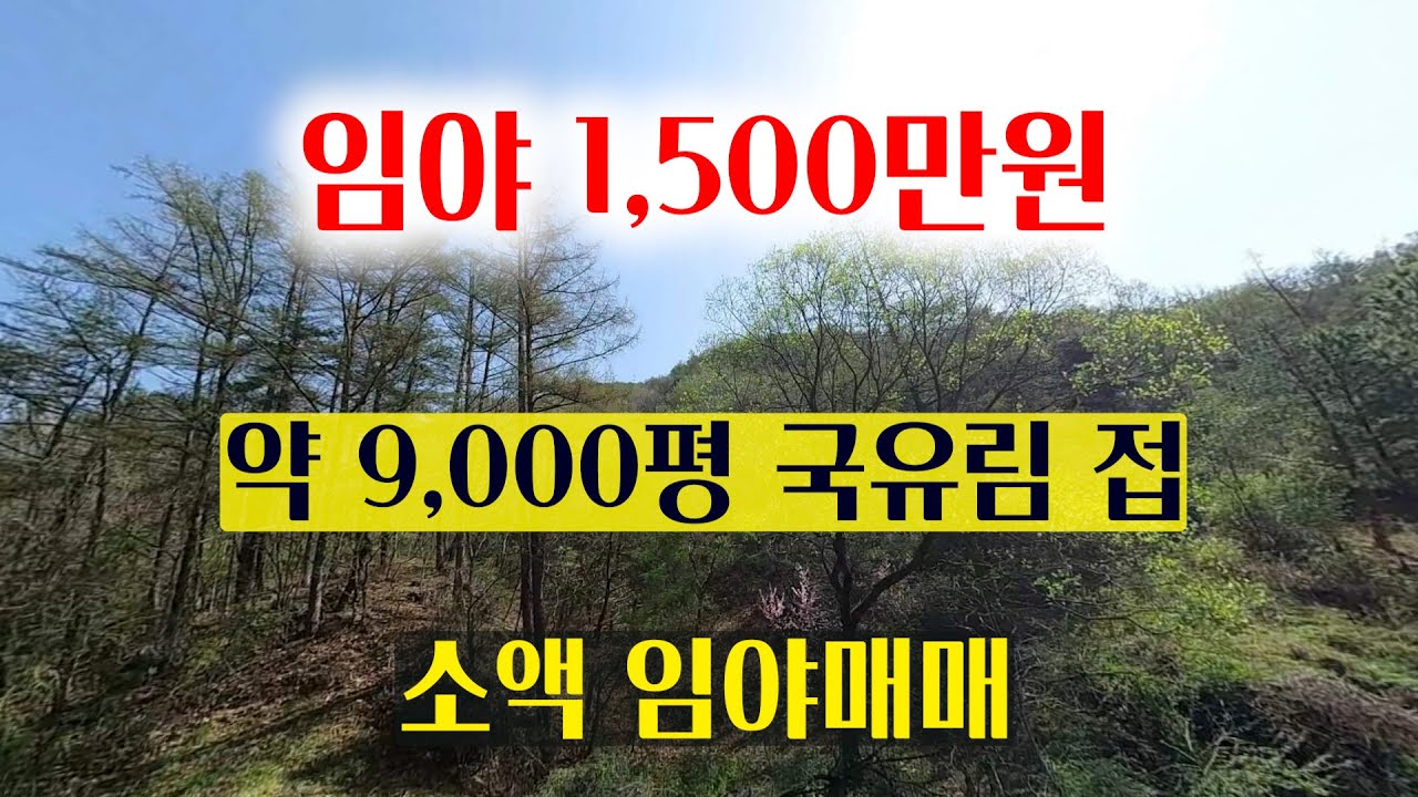 [1483][임야매매] 매가 1,500만원의 소액 임야매매