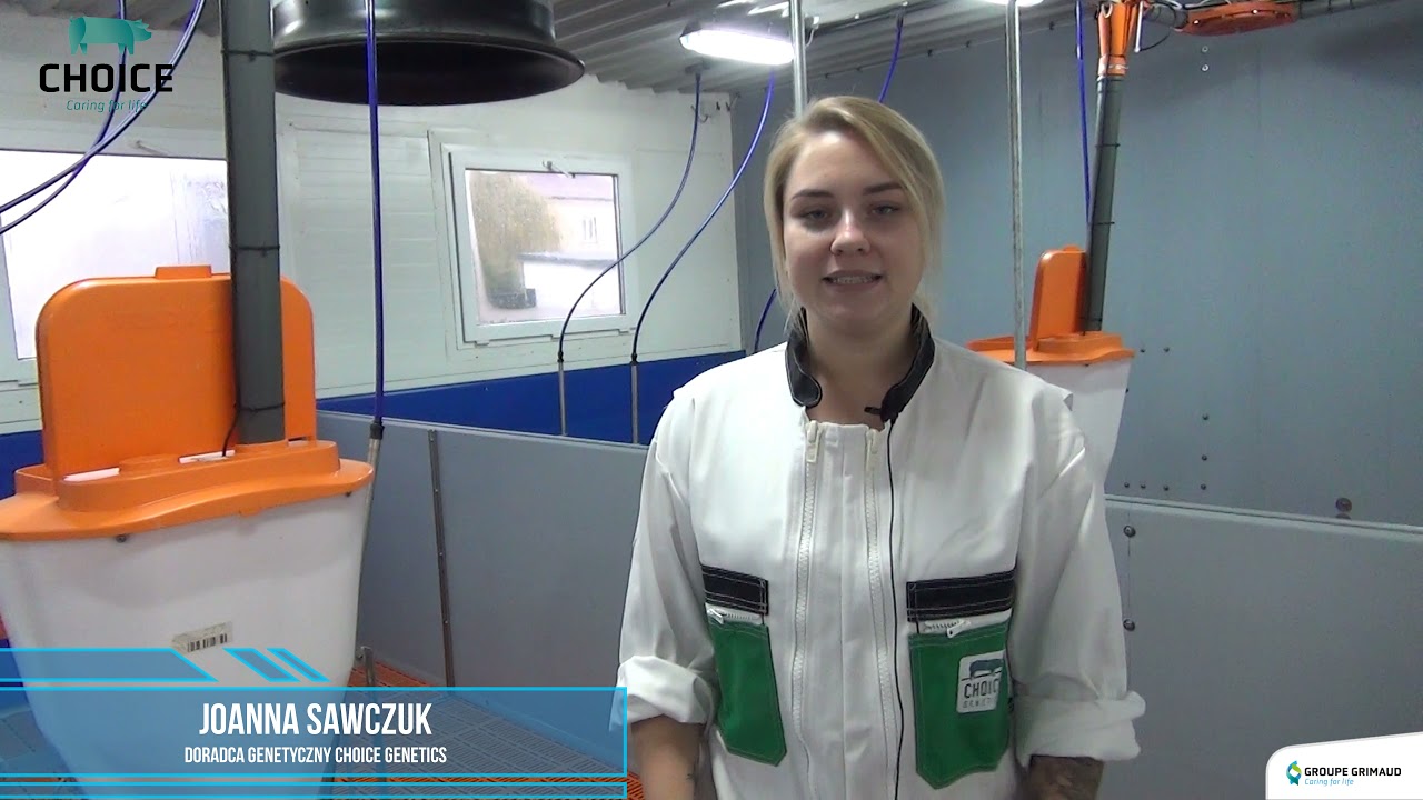 Nowoczesna chlewnia w szkole rolniczej zasiedlona lochami CG36 Choice