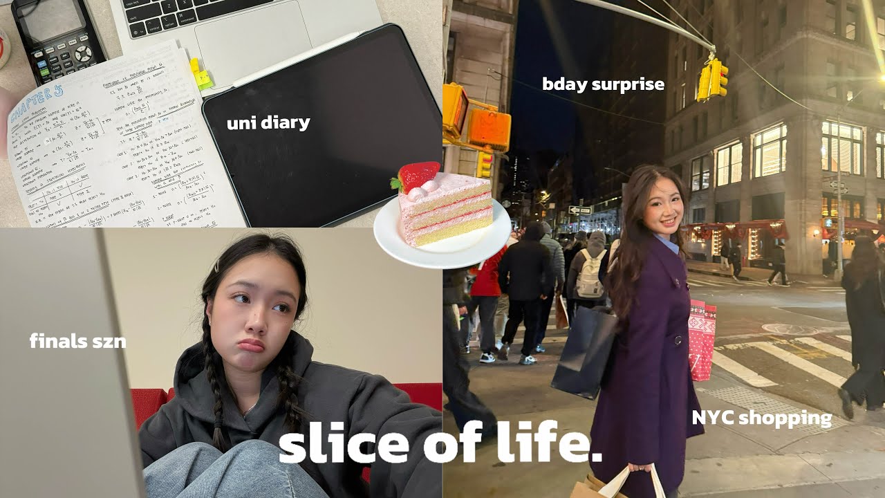 final moments of 2025 🎞️: uni diaries, birthday surprises & NYC Black Friday vlog, CS major
