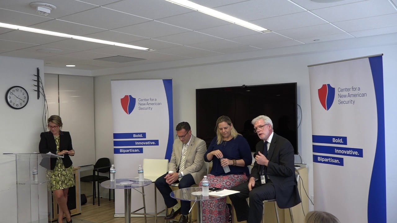 Launching, Integrating, and Sustaining Networks of Care