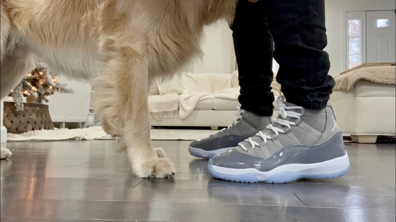 Air Jordan Retro 11 Cool Grey ON FEET