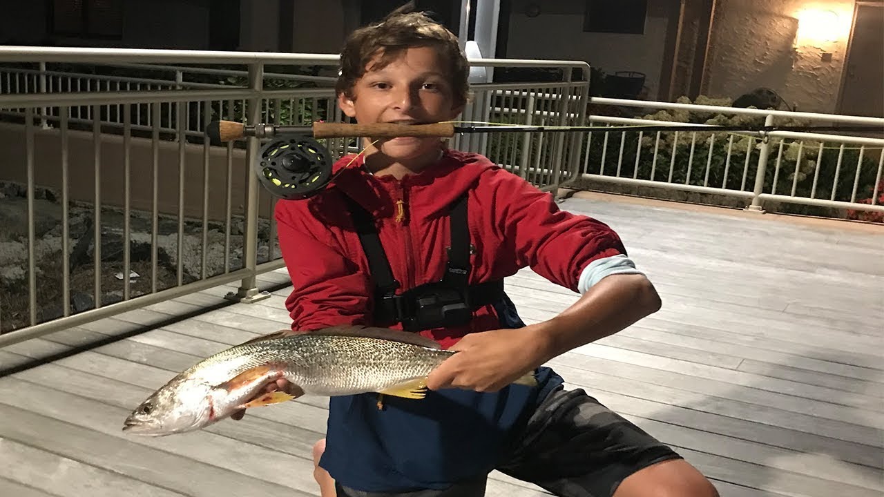 Fly Fishing For HUGE Weak Fish