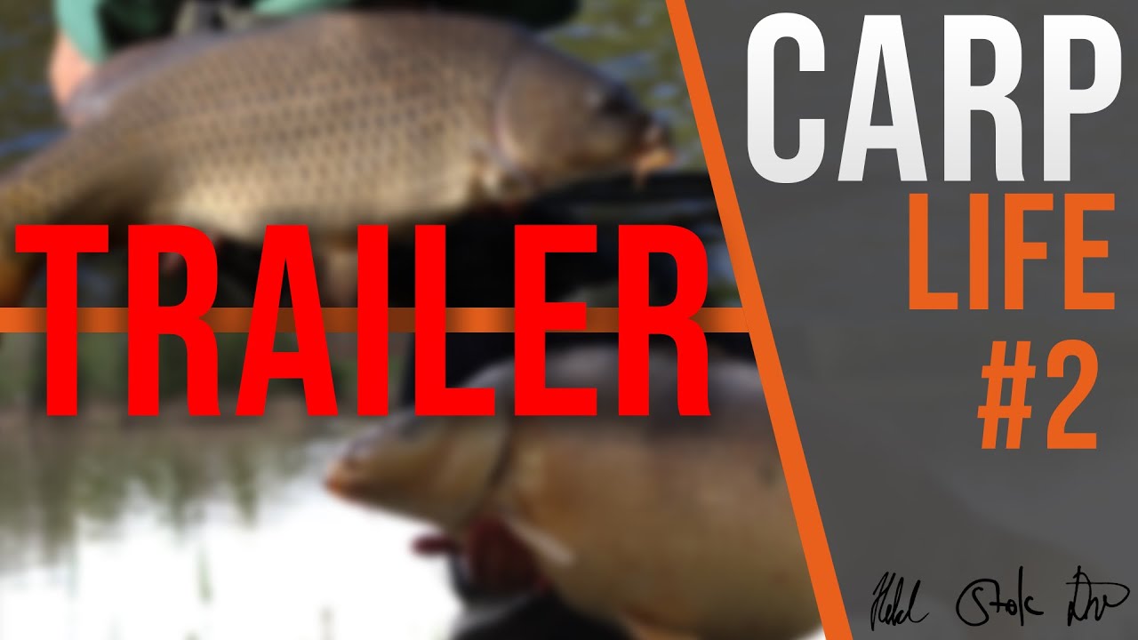 Carp Life #2 [TRAILER]