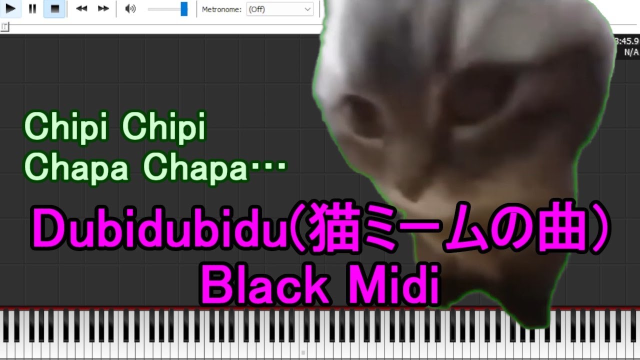 【Black Midi/黒楽譜】Chipi Chipi Chapa Chapa | Dubidubidu (120K notes↑)