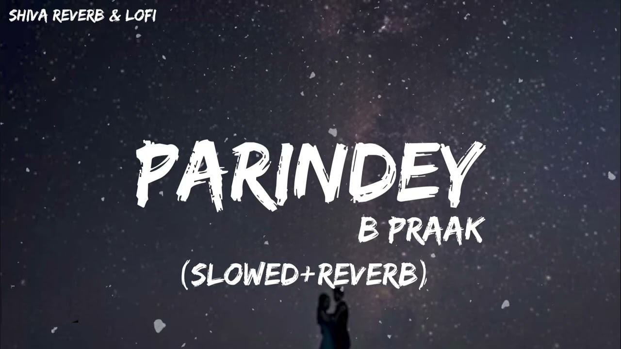 Parindey [Slowed + Reverb] | B Praak | Jaani | Gippy Grewal, Sargun Mehta | Me Kisse Ishq De Dekhe