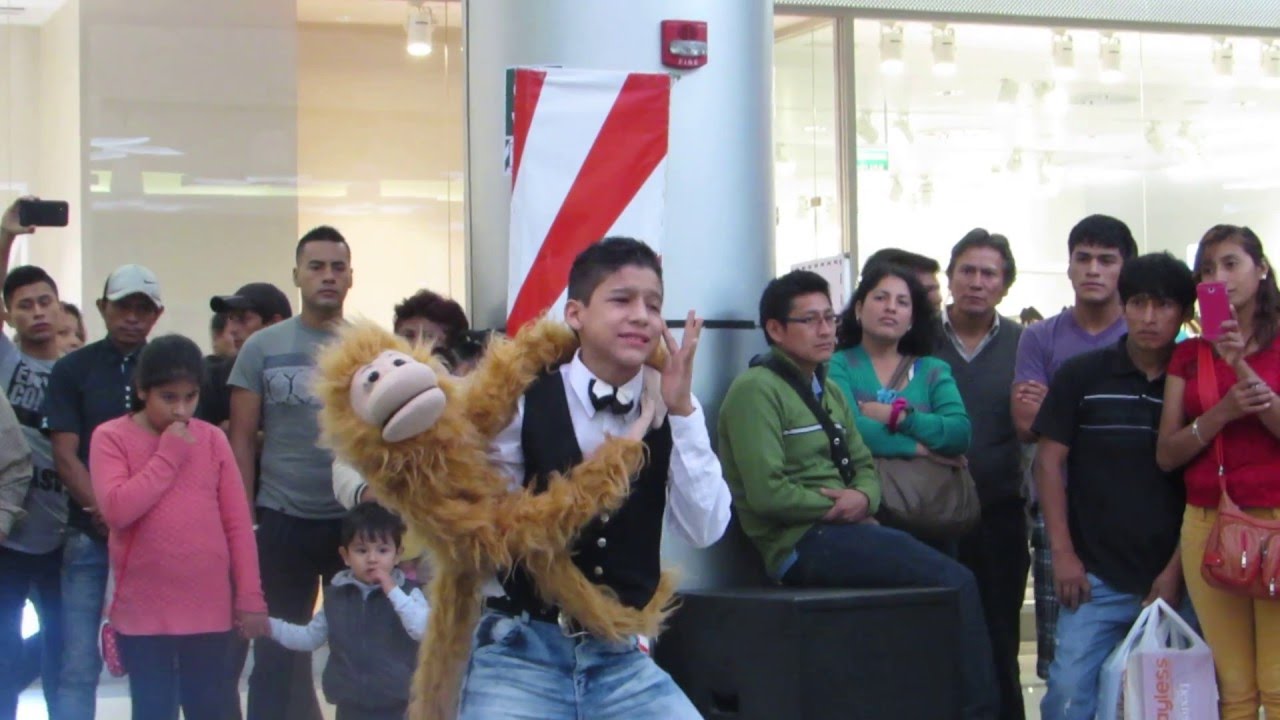 VASITO KIDS y TATO ,FONOMIMICA GATITO