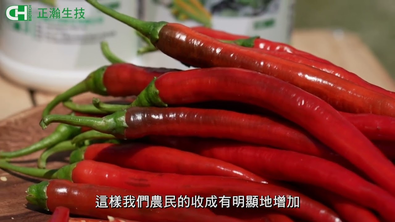 糧食作物應用: 辣椒 完整
